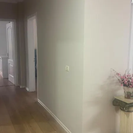 Elysee アパート *